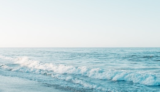 記事投稿の流れ